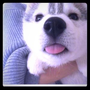 Meet your Posher, Margaret